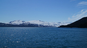 Cruise1