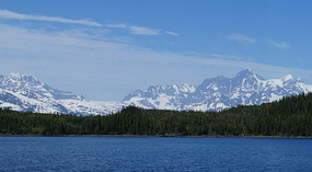 Cruise10