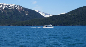 Cruise3