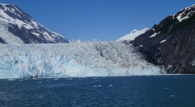 Cruise31