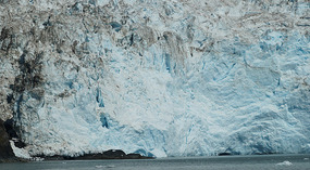 Cruise36