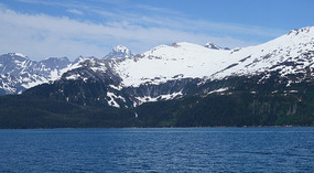 Cruise4