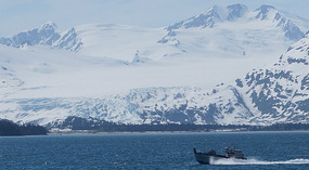 Cruise5