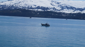 Cruise6