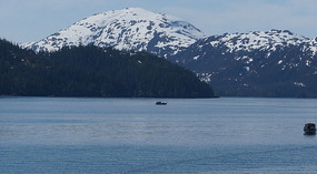 Cruise7