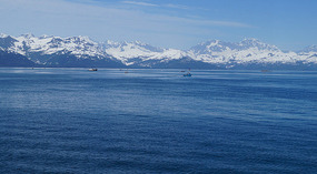 Cruise8