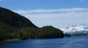 Cruise9