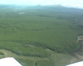 Video Flug49