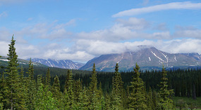 Denali NP3