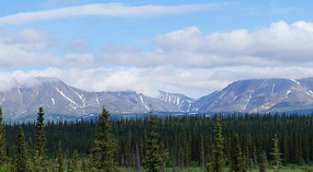 Denali NP4