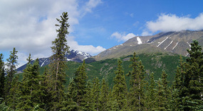 Denali NP5