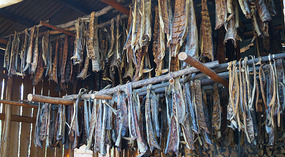 Chena Indian Village8