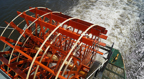 Cruise29