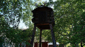 Pioneer Park10