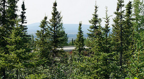 Arctic Circle3