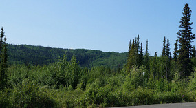Top Hill