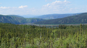 Yukon1