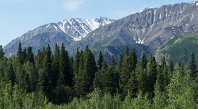 Mt. Hayes11