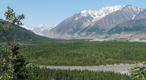Mt. Hayes12