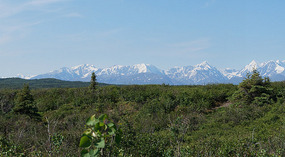Mt. Hayes5