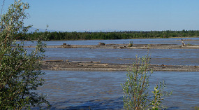 Tanana3