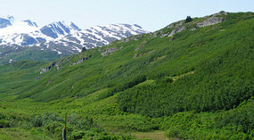 Worthington Glacier5