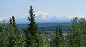 Wrangell1