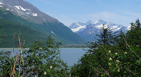 Dock Point Trail1