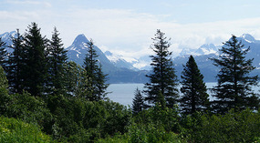Dock Point Trail3