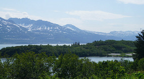 Dock Point Trail4