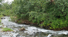 Wasserfall2