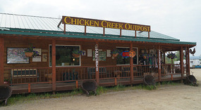 Chicken2