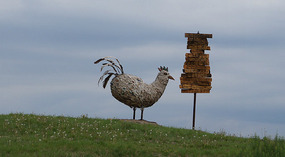 Chicken3