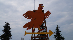 Chicken5