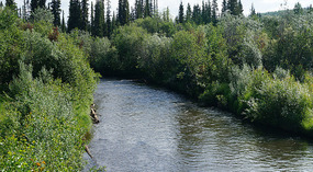 River2