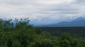 Haines Highway4