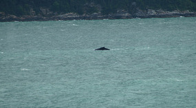 Fährfahrt13