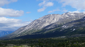 Tal14