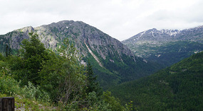 Tal9
