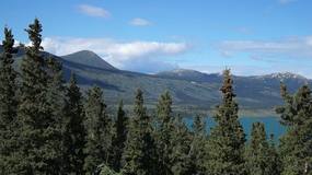 Video Yukon