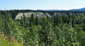 Landschaft2