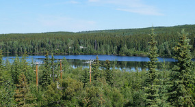 Landschaft3