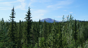 Landschaft1