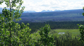 Landschaft11