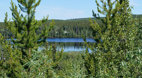 Landschaft5