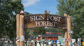 Sign Post Forest1