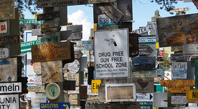 Sign Post Forest6