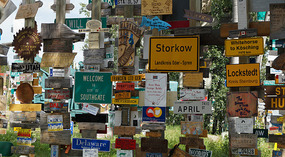 Sign Post Forest7