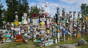 Sign Post Forest8