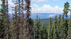 Landschaft2